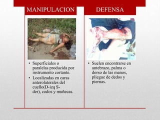 MANIPULACION                    DEFENSA




• Superficiales o           • Suelen encontrarse en
  paralelas producida por     antebrazo, palma o
  instrumento cortante.       dorso de las manos,
• Localizadas en caras        pliegue de dedos y
  anterolaterales del         piernas.
  cuello(D-izq S-
  der), codos y muñecas.
 