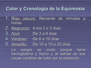 CCoolloorr yy CCrroonnoollooggííaa ddee llaa EEqquuiimmoossiiss 
11.. RRoojjoo oossccuurroo:: RReecciieennttee ddee mmiinnuuttooss aa 
hhoorraass 
22.. NNeeggrruuzzccoo:: AA llooss 22 oo 33 ddííaass 
33.. AAzzuull:: DDee 33 aa 66 ddííaass 
44.. VVeerrddoossoo:: DDee 66 aa 1100 ddííaass 
55.. AAmmaarriilllloo:: DDee 1100 aa 1155 oo 2200 ddííaass 
LLaa ssaannggrree ssee ooxxiiddaa ppoorrqquuee ttiieennee 
hheemmoogglloobbiinnaa yy hhiieerrrroo yy aall ssaalliirrssee ddee ssuuss 
ccaauussee ccaammbbiiaann ddee ccoolloorr ppoorr llaa ooxxiiddaacciióónn.. 
 