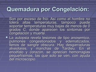 QQuueemmaadduurraa ppoorr CCoonnggeellaacciióónn:: 
SSoonn ppoorr eexxcceessoo ddee ffrriióó:: AAssíí ccoommoo eell hhoommbbrree nnoo 
ttoolleerraa aallttaass tteemmppeerraattuurraass,, ttaammppooccoo ppuueeddee 
ssooppoorrttaarr tteemmppeerraattuurraass mmuuyy bbaajjaass ddee mmeennooss ddee 00 
ggrraaddooss CC.. ddoonnddee aappaarreecceenn llooss ssíínnttoommaass ppoorr 
ccoonnggeellaacciióónn yy mmuueerrttee.. 
 LLaa aauuttooppssiiaa rreevveellaa lleessiioonneess ddee ttiippoo aannooxxeemmiiccoo,, 
ppuullmmoonneess ccoonnggeessttiioonnaaddooss yy eeddeemmaattiizzaaddooss,, 
lllleennooss ddee ssaannggrree oobbssccuurraa.. HHaayy ddeessggaarrrraadduurraass 
aallvveeoollaarreess,, yy mmaanncchhaass ddee TTaarrddiieeuu.. EEnn eell 
eennccééffaalloo yy ccoorraazzóónn,, ssee aapprreecciiaann hheemmoorrrraaggiiaass 
ppeeqquueeññííssiimmaass,, llaass qquuee ssoolloo ssee vveenn,, ccoonn aayyuuddaa 
ddeell mmiiccrroossccooppiioo.. 
 