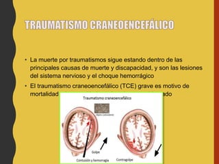 • La muerte por traumatismos sigue estando dentro de las
principales causas de muerte y discapacidad, y son las lesiones
del sistema nervioso y el choque hemorrágico
• El traumatismo craneoencefálico (TCE) grave es motivo de
mortalidad e incapacidad en el paciente accidentado
 