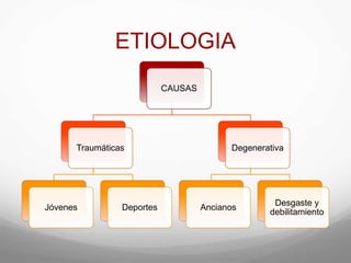 ETIOLOGIA
CAUSAS
Traumáticas
Jóvenes Deportes
Degenerativa
Ancianos
Desgaste y
debilitamiento
 