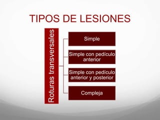 TIPOS DE LESIONES
Roturastransversales
Simple
Simple con pedículo
anterior
Simple con pedículo
anterior y posterior
Compleja
 