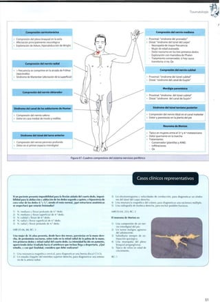 Traumatología
• Compresic
ompresión cervicotorácica
sión del plexo braquial en la axila
Afectación principalmente neurológica
Exploración de Adson, hiperabducción de Wright
Compresión del nervio radial
> frecuencia se comprime en la arcada de Fróhse
(epicóndilo)
Síndrome de Wartenber (afectación de la superficial)
Compresión del nervio obturador
Síndrome del canal de los adductores de Hunter
Compresión del nervio safeno
Dolor en cara medial de muslo y rodillas
Síndrome del túnel del tarso anterior
Compresión del nervio peroneo profundo
Dolor en el primer espacio interdigital
Compresión del nervio mediano
Proximal: "síndrome del pronador"
Distal: "síndrome del túnel del carpo"
- Neuropatía de mayor frecuencia
- Mujer de edad avanzada
- Dolor nocturno en los tres primeros dedos
- Exploración con maniobra de Phalen
- Tratamiento conservador, si hay causa
transitoria; si no, Qx
Compresión del nervio cubital
Proximal: "síndrome del túnel cubital"
Distal: "síndrome del canal de Guyón"
Merálgia parestésica
Proximal: "síndrome del túnel cubital"
Distal: "síndrome del canal de Guyón"
Síndrome del túnel tarsiano posterior
Compresión del nervio tibial en el canal maleolar
Dolor y parestesias en la planta del pie
Neuroma de Morton
Típico en mujeres entre el 3.° y 4.° metatarsiano
Dolor quemante en la marcha
Tratamiento:
- Conservador (plantillas y AINE)
- Infiltraciones
- Qx
Figura 67. Cuadros compresivos del sistema nervioso periférico
Casos clínicos representativos
Si un paciente presenta imposibilidad para la flexión aislada del cuarto dedo, imposi-
bilidad para la abducción y addución de los dedos segundo a quinto, e hipoestesia de
cara volar de los dedos 4.° y S.°, siendo el resto normal, ¿qué estructuras anatómicas
se sospechará que estarán lesionadas?
1) N. mediano y flexor profundo de 4.° dedo.
2) N. mediano y flexor superficial de 4.° dedo.
3) N. cubital y flexor de 4 ° dedo.
4) N. radial y flexor superficial de 4.° dedo.
5) N. radial y flexor profundo de 4." dedo.
MIR 05-06, 88; RC: 3
Una mujer de 36 años presenta, desde hace dos meses, parestesias en la mano dere-
cha, de predominio nocturno, sobre todo en la mitad radial de la palma de la mano,
tres primeros dedos y mitad radial del cuarto dedo. La intensidad ha ido en aumento,
apareciendo dolor irradiado hacia el antebrazo que incluso llega a despertarla. ¿Qué
estudio, y con qué finalidad, considera que debe realizarse?
1) Una resonancia magnética cervical, para diagnosticar una hernia discal C5-C6.
2) Un estudio Doppler del miembro superior derecho, para diagnosticar una esteno-
sis de la arteria radial.
Un electromiograma y velocidades de conducción, para diagnosticar un síndro-
me del túnel del carpo derecho.
Una resonancia magnética del cráneo, para diagnosticar una esclerosis múltiple.
Una radiografía de muñeca derecha, para excluir posibles fracturas.
MIR 03-04, 253; RC: 3
El neuroma de Morton es:
1) Una compresión de un ner-
vio interdigital del pie.
2) Un tumor maligno agresivo
del adolescente.
3) Subsidiario siempre de ex-
tirpación quirúrgica.
4) Una neuropatía del plexo
braquial preganglionar.
5) Típico de niños en edad de
crecimiento.
RC: 1
51
 