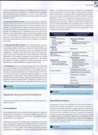 Traumatología
inicial, es una fuente de moléculas de señalización que inician la cas-
cada de eventos de la consolidación. Las plaquetas que van agregán-
dose al hematoma liberan interleucinas 1 y 6 (IL-1, IL-6), factor trans-
formador de crecimiento B (TGF-B) y factor de crecimiento derivado de
plaquetas (PDCF).
2. Formación del callo de fractura. La tensión de oxígeno en diferentes
regiones del foco de fractura es uno de los factores determinantes de
la diferenciación tisular que se produce. En la zona periférica, junto al
periostio, la elevada tensión de oxígeno permite la formación directa
de hueso por osificación endomembranosa, formándose el llamado ca-
llo duro, c o n colágeno tipo I y osteoblastos. En la zona central existe
hipoxia, y consecuentemente se forma un armazón de tejido cartilagi-
noso -el callo blando-, con colágeno tipo II y condroblastos en pro-
liferación. El callo blando a continuación se osifica, por un proceso de
osificación endocondral similar al de las fisis o cartílagos de crecimiento
de los niños.
3. Osificación del callo de fractura. A las dos semanas de la fractura,
los condrocitos dejan de proliferar y el tipo celular predominante es el
condrocito hipertrófico. Estas células comienzan a liberar las llamadas
vesículas de matriz, que contienen proteasas, para degradar la matriz
cartilaginosa, y fosfatasas, para liberar iones fosfato que puedan pre-
cipitar con el calcio contenido en las mitocondrias de los condrocitos
hipertróficos. Una vez que el cartílago se ha calcificado, es invadido
por vasos sanguíneos, acompañados por condroclastos y osteoclastos
que digieren el cartílago calcificado y células perivasculares que se
diferencian en sentido osteoblástico y depositan hueso nuevo.
4. Remodelación. El hueso inicial mente formado, tanto en el callo blando
como en el callo duro, es hueso inmaduro o fibrilar (woven bone). Este
tipo de hueso es el que forma los huesos fetales, y en el adulto únicamen-
te puede encontrarse precisamente en el callo de fractura (MIR 98-99,
95). Se caracteriza por una orientación trabecular irregular y va siendo
progresivamente transformado en hueso maduro mediante el proceso de
remodelación. En el hueso maduro, a diferencia del hueso fibrilar con una
disposición trabecular desorganizada, las trabéculas se orientan en fun-
ción de los requerimientos mecánicos, siguiendo la llamada ley de Wolff.
R E C U E R D A
El hueso fibrilar sólo lo encontramos en el feto y en el callo d e fractura.
células y su proliferación en las fases iniciales de la consolidación.
Otros factores (BMP, IGF-I, IGF-II) regulan la diferenciación celular en
sentido osteoblástico. Las proteínas óseas morfogenéticas más implica-
das en el proceso de consolidación son la BMP-2 y la BMP-7 (proteína
osteogénica 1 [OP-1]). El conocimiento de estos procesos ha estimu-
lado, en los últimos años, la síntesis en el laboratorio de proteínas os-
teogenéticas para uso clínico. Algunas proteínas óseas morfogenéticas
ya se encuentran disponibles en los hospitales para su utilización en
pacientes con ausencias de consolidación de fracturas complejas. Su
elevado coste económico restringe actualmente su aplicación a casos
complejos y bien seleccionados.
FACTORES Q U E P R O M U E V E N
LA CONSOLIDACIÓN
FACTORES Q U E DIFICULTAN
LA CONSOLIDACIÓN
Hormonas
• Hormona de crecimiento
• Insulina
• Esteroldes anabolizantes
• Hormonas tiroideas
• Calcitonina
Alteraciones endocrinas
• Diabetes
• Déficit d e hormona de crecimiento
• Tratamiento con corticoides
Vitaminas
• Vitamina A
• Vitamina D
Malnutrición
Factores d e crecimiento (IL-1, IL-6,
BMPs,TGF-p,
FGFs, IGF, PDGF, etc.)
• Perturbación del h e m a t o m a
de la fractura
• Tratamiento con ¡ndometacina
Factores físicos
• Ejercicio y carga controlados
• Campos electromagnéticos
• Ultrasonidos de baja frecuencia
Factores físicos
• Distracción, compresión
o cizallamiento excesivos
en el foco de fractura
• Interposición d e partes blandas
en el foco de la fractura
• Radioterapia
Oxígeno hiperbárico
Hipoxia local, reducción de la
vascularización local, lesión d e partes
blandas, anemia, consumo d e tabaco
Tratamiento con citostáticos
Infección
Denervaclón
Edad avanzada
Tabla 1. Factores que influyen en el proceso de consolidación de las fracturas
(MIR 03-04,17; MIR 97-98,230)
Regulación del proceso de consolidación
R E C U E R D A
En general, cualquier enfermedad sistémica dificulta la consolidación.
El proceso de consolidación está regulado por factores bioquímicos y
biofísicos (Tabla 1 ) .
Factores bioquímicos
Ciertas proteínas de la matriz extracelular intervienen en la regulación
del proceso de consolidación. Los llamados colágenos menores (V, IX,
X y XI) regulan el crecimiento u orientación de los colágenos principa-
les del hueso (I) y el cartílago (II).
La fibronectina, osteonectina, osteopontina y osteocalcina son proteínas
que se encargan de la regulación del trabajo inicial de los osteoblastos
al inicio de la osificación del callo de fractura. Ciertos factores de creci-
miento (IL-1, IL-6, TFG-p, PDGF, FGF-I, FGF-II) son fundamentalmente
quimiotácticos y/o mitogénicos, y parecen regular la acumulación de
Factores biofísicos (mecánicos)
Las tensiones a las que se ve sometido el foco de fractura también i n -
fluyen en el proceso de consolidación. Como se ha mencionado pre-
viamente, la consolidación directa o cortical requiere la estabilización
rígida de la fractura. La aplicación controlada de tensiones en compre-
sión, distracción y cizallamiento favorece la formación de hueso; sin
embargo, un exceso de compresión induce la formación de cartílago
en lugar de hueso, y un exceso de distracción o cizallamiento, la for-
mación de tejido fibroso. La aplicación de campos electromagnéticos
y de ultrasonido de baja intensidad también favorece la consolidación
de las fracturas (MIR 97-98, 230).
Q R E C U E R D A
Las fuerzas de compresión axial moderada p r o m u e v e n la consolidación.
3
 
