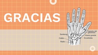 GRACIAS
 