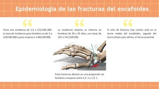 La incidencia máxima se informa en
hombres de 20 a 29 años, con tasas de
107 a 151/100 000.
El sitio de fractura más común está en el
tercio medio del escafoides, seguido del
tercio distal y por último, el tercio proximal.
Tiene una incidencia de 1,5 a 121/100 000.
La tasa de incidencia para hombres es de 2 a
129/100 000 y para mujeres 1 a 80/100 000.
Epidemiología de las fracturas del escafoides
Estas fracturas afectan en una proporción de
hombres a mujeres entre 1,5: 1 y 7,3: 1.
 