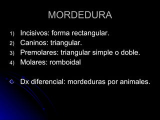 MORDEDURA Incisivos: forma rectangular. Caninos: triangular. Premolares: triangular simple o doble. Molares: romboidal Dx diferencial: mordeduras por animales.  