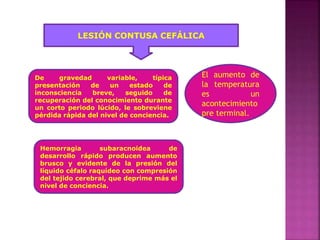 LESIÓN CONTUSA CEFÁLICA
De gravedad variable, típica
presentación de un estado de
inconsciencia breve, seguido de
recuperación del conocimiento durante
un corto periodo lúcido, le sobreviene
pérdida rápida del nivel de conciencia.
Hemorragia subaracnoidea de
desarrollo rápido producen aumento
brusco y evidente de la presión del
líquido céfalo raquídeo con compresión
del tejido cerebral, que deprime más el
nivel de conciencia.
El aumento de
la temperatura
es un
acontecimiento
pre terminal.
 