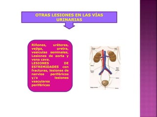 OTRAS LESIONES EN LAS VÍAS
URINARIAS
Riñones, uréteres,
vejiga, uretra,
vesículas seminales,
Lesiones de aorta y
vena cava.
LESIONES DE
ESTREMIDADES con
fracturas, lesiones de
nervios periféricos
y/o lesiones
vasculares
periféricas
 