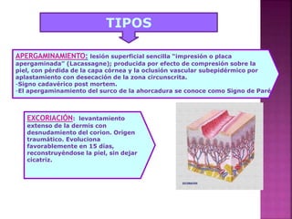 TIPOS
APERGAMINAMIENTO: lesión superficial sencilla “impresión o placa
apergaminada” (Lacassagne); producida por efecto de compresión sobre la
piel, con pérdida de la capa córnea y la oclusión vascular subepidérmico por
aplastamiento con desecación de la zona circunscrita.
-Signo cadavérico post mortem.
-El apergaminamiento del surco de la ahorcadura se conoce como Signo de Paré
EXCORIACIÓN: levantamiento
extenso de la dermis con
desnudamiento del corion. Origen
traumático. Evoluciona
favorablemente en 15 días,
reconstruyéndose la piel, sin dejar
cicatriz.
 