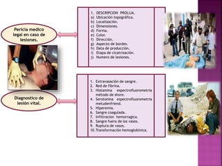 Pericia medico
legal en caso de
lesiones.
Diagnostico de
lesión vital.
1. DESCRIPCION PROLIJA.
a) Ubicación topográfica.
b) Localización.
c) Dimensiones.
d) Forma.
e) Color.
f) Dirección.
g) Aspecto de bordes.
h) Data de producción.
i) Etapa de cicatrización.
j) Numero de lesiones.
1. Extravasación de sangre.
2. Red de fibrina.
3. Histamina espectrofluorometria
método de shore.
4. Serotonina espectrofluorometria
metudenfriend.
5. Hiperemia.
6. Sangre coagulada.
7. Infiltracion hemorragica.
8. Sangre fuera de los vasos.
9. Ruptura de vasos.
10.Transformación hemoglobínica.
 