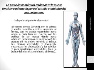 • Incluye los siguiente elementos:
El cuerpo erecto (de pie), con la cabeza
y cuello también erectos, mirando al
frente, con los brazos extendidos hacia
abajo, a cada lado del cuerpo, con las
palmas de las manos dando hacia
adelante (antebrazos en supinación), las
puntas de los dedos mirando al frente,
las piernas extendidas y levemente
separadas (en abducción), y los tobillos
y pies igualmente extendidos (con la
punta del pie señalando hacia el frente).
septiembrede2015
12
 
