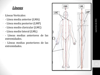 Líneas
• Líneas Verticales:
• - Línea media anterior (LMA)
• - Línea media posterior (LMP)
• - Línea medio clavicular (LMC)
• - Línea medio lateral (LML)
• - Líneas medias anteriores de las
extremidades.
• - Líneas medias posteriores de las
extremidades.
septiembrede2015
16
 