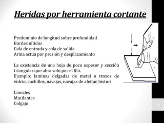 Heridas por herramienta cortante
Predominio de longitud sobre profundidad
Bordes nítidos
Cola de entrada y cola de salida
Arma actúa por presión y desplazamiento
La existencia de una hoja de poco espesor y sección
triangular que abra solo por el filo.
Ejemplo: laminas delgadas de metal o trozos de
vidrio, cuchillos, navajas, navajas de afeitar, bisturí
Lineales
Mutilantes
Colgajo
septiembrede2015
53
 