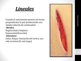 Lineales
Cuando el instrumento penetra de forma
perpendicular la piel produciendo una
simple solución de continuidad
-Bordes:
Regularidad y limpieza
Separación(dirección)
-Extremos:
Colas. Ataque: Iniciación del corte y una
cola terminal (la más larga)
septiembrede2015
54
 