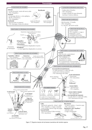 Traumatología
Pág. 17
Figura 17. Esquema-resumen de las lesiones traumáticas del miembro superior.
 