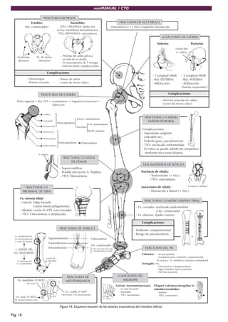miniMANUAL 1 CTO
Pág. 18
Inestables
(TTO. URGENCIA: fijador ext.
(si hay instabilidad hemodinámica)
TTO. DEFINITIVO: osteosíntesis)
Estables
(tto. conservador)
Avulsiones
(jóvenes)
Fx. de ramas
(ancianos)
- Pérdida del anillo pélvico
en más de un punto.
- En traumatismos de energía.
- Más frecuente complicaciones.
↑
FRACTURAS DE PELVIS
FRACTURAS DE ACETÁBULO
Osteosíntesis si >2 mm o fragmento intraarticular
LUXACIONES DE CADERA
Posterior
- Longitud MMII
- Rot. INTERNA
- ADDucción
↓
("bañista sorprendido")
Lesión del
n. ciático
Anterior
- Longitud MMII
- Rot. EXTERNA
- ABDucción
↑
Subcapital
Transcervical
Basicervical
Pertrocantérea
Subtrocantérea
Cefálica
Intracapsulares
Extracapsulares
Joven: osteosíntesis
Anciano
III-IV: prótesis
I-II: osteosíntesis
Osteosíntesis
FRACTURAS DE CADERA
Dolor inguinal + Rot. EXT + acortamiento + impotencia funcional +
adducción
FRACTURAS 1/3 MEDIO
DIÁFISIS FEMORAL
Complicaciones:
- Importante sangrado
(500-800 ml.)
- TTO: enclavado endomedular
- En niños se puede admitir tto ortopédico
mediante tracciones blandas
- Embolia grasa, pseudoartrosis
TRAUMATISMOS DE RÓTULA
Fracturas de rótula:
- Transversales (+ frec.)
- TTO: osteosíntesis
Luxaciones de rótula:
- Desviación a lateral (+ frec.)
Cerclaje en "obenque"
- Supracondíleas
- Posible afectación A. Poplítea
- TTO: Osteosíntesis
A. Poplítea
- Fx. cerradas: enclavado endomedular
o tto. conservador
- Fx. abiertas: fijador externo
FRACTURAS 1/3 MEDIO DIÁFISIS TIBIAL
Fx. MAISSONEUVE
1/3 proximal peroné
o cuello del peroné
1/3 distal peroné
Fx. DUPUYTREN
+ LESION DEL
LIG. DELTOIDEO
Lesión del
lig. deltoideo
Osteosíntesis
Tto. conservador
Suprasindesmal
Transindesmal
Infrasindesmal
FRACTURAS DE TOBILLO
FRACTURAS 1/3
PROXIMAL DE TIBIA
Fx. meseta tibial
- Lateral: Valgo forzado
Lesión meniscal/ligamentos
- Medial: Lesión N. CPE (varo forzado)
- TTO: Osteosíntesis si desplazada
Fx. cuello 2º MTT
("del recluta" o de Deutschlander)
Fx. metáfisis 5º MTT
(de Jones)
Fx. base 5º MTT
(M. peroneo lateral corto)
FRACTURAS DE
METATARSIANOS
(salvo afectación del comp.
osteoligamentoso medial)
Calcáneo:
Astrágalo:
l
- En precipitados
- Complicaciones: síndrome compartimental
Se asocia a Fx. vertebral y calcáneo contralatera
Tto:
- Osteosíntesis si desplazamiento
- Signo Hawkins: buen pronóstico
- Necrosis avascular
Lisfranc (tarsometatarsiana)
- La más frecuente
- Inestables
- TTO: osteosíntesis
Chopart (calcáneo/astragalina Vs
cuboides/escafoides)
- Estables
- TTO: conservador
LUXACIONES DEL
MEDIOPIE
- Necrosis avascular de cadera
- Lesión del nervio ciático
Complicaciones
- Hemorragias.
- Roturas vesicales.
- Rotura de uretra.
- Lesión de nervio ciático
Complicaciones
- Síndrome compartimental
- Riesgo de pseudoartrosis
Complicaciones
FRACTURAS DEL PIE
FRACTURAS 1/3 DISTAL
DE FÉMUR
Figura 18. Esquema-resumen de las lesiones traumáticas del miembro inferior.
 