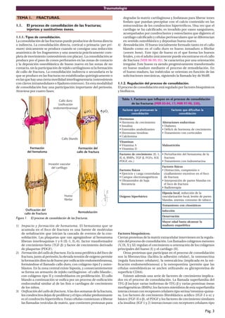 Traumatología
Pág. 3
TEMA 1. FRACTURAS.
1.1. El proceso de consolidación de las fracturas;
injertos y sustitutivos óseos.
1.1.1. Tipos de consolidación.
La consolidación de las fracturas puede producirse de forma directa
o indirecta. La consolidación directa, cortical o primaria (per pri-
mam) únicamente se produce cuando se consigue una reducción
anatómica de los fragmentos y una ausencia prácticamente com-
pleta de movimiento (osteosíntesis con placas). La consolidación se
produce por el paso de conos perforantes en las zonas de contacto
y la deposición osteoblástica de hueso nuevo en las zonas de no
contacto, sin la participación de tejido cartilaginoso ni la formación
de callo de fractura. La consolidación indirecta o secundaria es la
que se produce en las fracturas no estabilizadas quirúrgicamente o
en las que hay una cierta movilidad interfragmentaria (osteosíntesis
con clavos intramedulares o fijadores externos). En esta modalidad
de consolidación hay una participación importante del periostio.
Atraviesa por cuatro fases:
Formación
del hematoma
Remodelación
Osificación del
callo de fractura
Callo duro
(osificación
endomembranosa)
Callo blando
Formación del
callo de fractura
Hueso
fibrilar
pO2 pO2
Invasión vascular
del cartílago
Figura 1. El proceso de consolidación de las fracturas.
1) Impacto y formación de hematoma. El hematoma que se
acumula en el foco de fractura es una fuente de moléculas
de señalización que inician la cascada de eventos de la con-
solidación. Las plaquetas que van agregándose al hematoma
liberan interleuquinas 1 y 6 (IL-1, IL-6), factor transformador
de crecimiento beta (TGF-β) y factor de crecimiento derivado
de plaquetas (PDGF).
2) Formación del callo de fractura. En la zona periférica del foco de
fractura,juntoalperiostio,laelevadatensióndeoxígenopermite
laformacióndirectadehuesoporosificaciónendomembranosa,
formándose el llamado callo duro, con colágeno tipo I y osteo-
blastos. En la zona central existe hipoxia, y consecuentemente
se forma un armazón de tejido cartilaginoso -el callo blando-,
con colágeno tipo II y condroblastos en proliferación. El callo
blando a continuación se osifica por un proceso de osificación
endocondral similar al de las fisis o cartílagos de crecimiento
de los niños.
3) Osificación del callo de fractura. A las dos semanas de la fractura,
loscondrocitosdejandeproliferaryeltipocelularpredominante
es el condrocito hipertrófico. Estas células comienzan a liberar
las llamadas vesículas de matriz, que contienen proteasas para
degradar la matriz cartilaginosa y fosfatasas para liberar iones
fosfato que puedan precipitar con el calcio contenido en las
mitocondrias de los condrocitos hipertróficos. Una vez que el
cartílago se ha calcificado, es invadido por vasos sanguíneos,
acompañados por condroclastos y osteoclastos que digieren el
cartílago calcificado y células perivasculares que se diferencian
en sentido osteoblástico y depositan hueso nuevo.
4) Remodelación. El hueso inicialmente formado tanto en el callo
blando como en el callo duro es hueso inmaduro o fibrilar
(woven bone). Este tipo de hueso es el que forma los huesos
fetales, y en el adulto únicamente puede encontrarse en el callo
de fractura (MIR 98-99, 95). Se caracteriza por una orientación
irregular. Este hueso va siendo progresivamente transformado
en hueso maduro mediante el proceso de remodelación. En
el hueso maduro, las trabéculas se orientan en función de las
solicitaciones mecánicas, siguiendo la llamada ley de Wolff.
1.1.2. Regulación del proceso de consolidación.
El proceso de consolidación está regulado por factores bioquímicos
y biofísicos.
Tabla 1. Factores que influyen en el proceso de consolidación
de las fracturas (MIR 03-04, 17; MIR 97-98, 230).
a
l
n
e
v
e
u
m
o
r
p
e
u
q
s
e
r
o
t
c
a
F
n
ó
i
c
a
d
i
l
o
s
n
o
c
a
l
n
a
t
l
u
c
i
f
i
d
e
u
q
s
e
r
o
t
c
a
F
n
ó
i
c
a
d
i
l
o
s
n
o
c
s
a
n
o
m
r
o
H
o
t
n
e
i
m
i
c
e
r
c
e
d
a
n
o
m
r
o
H
•
a
n
i
l
u
s
n
I
•
s
e
t
n
a
z
i
l
o
b
a
n
a
s
e
d
i
o
r
e
t
s
E
•
s
a
e
d
i
o
r
i
t
s
a
n
o
m
r
o
H
•
a
n
i
n
o
t
i
c
l
a
C
•
s
a
n
i
r
c
o
d
n
e
s
e
n
o
i
c
a
r
e
t
l
A
s
e
t
e
b
a
i
D
•
o
t
n
e
i
m
i
c
e
r
c
e
d
a
n
o
m
r
o
h
e
d
t
i
c
i
f
é
D
•
s
e
d
i
o
c
i
t
r
o
c
n
o
c
o
t
n
e
i
m
a
t
a
r
T
•
s
a
n
i
m
a
t
i
V
A
a
n
i
m
a
t
i
V
•
D
a
n
i
m
a
t
i
V
•
n
ó
i
c
i
r
t
u
n
l
a
M
o
t
n
e
i
m
i
c
e
r
c
e
d
s
e
r
o
t
c
a
F ,
1
-
L
I
(
-
F
G
T
,
s
P
M
B
,
6
-
L
I β ,
F
G
I
,
s
F
G
F
,
)
.
c
t
e
,
F
G
D
P
a
l
e
d
a
m
o
t
a
m
e
h
l
e
d
n
ó
i
c
a
b
r
u
t
r
e
P
•
a
r
u
t
c
a
r
f
a
n
i
c
a
t
e
m
o
d
n
i
n
o
c
o
t
n
e
i
m
a
t
a
r
T
•
s
o
c
i
s
í
f
s
e
r
o
t
c
a
F
s
a
d
a
l
o
r
t
n
o
c
a
g
r
a
c
y
o
i
c
i
c
r
e
j
E
•
s
o
c
i
t
é
n
g
a
m
o
r
t
c
e
l
e
s
o
p
m
a
C
•
a
j
a
b
e
d
s
o
d
i
n
o
s
a
r
t
l
U
•
a
i
c
n
e
u
c
e
r
f
s
o
c
i
s
í
f
s
e
r
o
t
c
a
F
o
n
ó
i
s
e
r
p
m
o
c
,
n
ó
i
c
c
a
r
t
s
i
D
•
o
c
o
f
l
e
n
e
s
o
v
i
s
e
c
x
e
o
t
n
e
i
m
a
l
l
a
z
i
c
a
r
u
t
c
a
r
f
e
d
n
e
s
a
d
n
a
l
b
s
e
t
r
a
p
e
d
n
ó
i
c
i
s
o
p
r
e
t
n
I
•
a
r
u
t
c
a
r
f
e
d
o
c
o
f
l
e
a
i
p
a
r
e
t
o
i
d
a
R
•
o
c
i
r
á
b
r
e
p
i
h
o
n
e
g
í
x
O
l
a
c
o
l
a
i
x
o
p
i
H a
l
e
d
n
ó
i
c
c
u
d
e
r
,
s
e
t
r
a
p
e
d
n
ó
i
s
e
l
,
l
a
c
o
l
n
ó
i
c
a
z
i
r
a
l
u
c
s
a
v
o
c
a
b
a
t
e
d
o
m
u
s
n
o
c
,
a
i
m
e
n
a
,
s
a
d
n
a
l
b
s
o
c
i
t
á
t
s
o
t
i
c
n
o
c
o
t
n
e
i
m
a
t
a
r
T
n
ó
i
c
c
e
f
n
I
n
ó
i
c
a
v
r
e
n
e
D
a
l
r
a
z
n
a
c
l
a
a
t
s
a
h
d
a
d
e
r
o
y
a
M
a
c
i
t
é
l
e
u
q
s
e
z
e
r
u
d
a
m
Factores bioquímicos.
Ciertas proteínas de la matriz extracelular intervienen en la regula-
cióndelprocesodeconsolidación.Losllamadoscolágenosmenores
(V, IX, X y XI) regulan el crecimiento u orientación de los colágenos
principales del hueso (I) y el cartílago (II).
Otras proteínas que participan en el proceso de consolidación
son la fibronectina (facilita la adhesión celular), la osteonectina
(regula funciones celulares), la osteocalcina (implicada en la osi-
ficación endomembranosa) y la osteopontina (permite que las
células osteoblásticas se anclen utilizando su glicoproteína de
superficie CD44).
Existen además una serie de factores de crecimiento implica-
dos en el proceso de consolidación. La llamada superfamilia del
TFG-β incluye varias isoformas de TFG-β y varias proteinas óseas
morfogenéticas (BMPs); los factores miembros de esta superfamilia
interaccionan con receptores celulares tipo serina/treonina-quina-
sa. Los factores de crecimiento fibroblástico acídico (FGF-I o α) y
básico (FGF-II o β), el PDGF y los factores de crecimiento similares
a la insulina (IGF 1 y 2) interaccionan con receptores celulares tipo
 