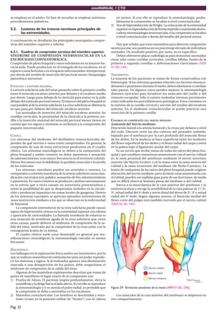 miniMANUAL 1 CTO
Pág. 32
se emplean en el adulto. En fase de secuelas se emplean asimismo
procedimientos paliativos.
5.2. Lesiones de los troncos nerviosos principales de
las extremidades.
A continuación se detallarán las principales neuropatías compre-
sivas del miembro superior e inferior.
6.2.1. Cuadros de compresión nerviosa del miembro superior.
SÍNDROME DE COMPRESIÓN NEUROVASCULAR EN LA
ENCRUCIJADA CERVICOTORÁCICA.
Compresión de plexo braquial y vasos subclavios en su trayecto ha-
cia la axila. Puede producirse en el triángulo de los escalenos, en el
espaciocostoclavicularoenelespaciosubcoracoideo-retropectoral,
por detrás del tendón de inserción del pectoral menor (braquialgia
parestésica nocturna).
ETIOLOGÍA Y ANATOMÍA REGIONAL.
La arteria subclavia sale del tórax pasando sobre la primera costilla
entre el músculo escaleno anterior por delante y el escaleno medio
por detrás. Luego pasa debajo de la clavícula para entrar en la axila
debajo del músculo pectoral menor. El trayecto del plexo braquial es
casiparaleloaldelaarteriasubclavia.Lavenasubclaviasediferencia
en que pasa por delante del músculo escaleno anterior.
Las anomalías de inserción del músculo escaleno anterior, las
costillas cervicales, la proximidad de la clavícula a la primera cos-
tilla o la inserción anormal del músculo pectoral menor tienen en
común que sus signos y síntomas se atribuyen a la compresión del
paquete neurovascular.
CLÍNICA.
Los síntomas del síndrome del desfiladero toracoclavicular de-
penden de qué nervios o vasos estén comprimidos. En general, la
compresión de una de estas estructuras predomina en el cuadro
clínico. Los síntomas neurológicos se deben a la compresión del
plexo braquial y suelen consistir en dolor, parestesia y sensación
de adormecimiento (con mayor frecuencia en el territorio cubital).
Menos frecuentes son la debilidad, la parálisis muscular o la atrofia
de los músculos
Los síntomas vasculares pueden ser arteriales o venosos. La
compresión u oclusión transitoria de la arteria subclavia causa clau-
dicaciónconelejercicio,palidez,sensacióndefrío,adormecimiento
o parestesia. En casos crónicos se producen cambios ateromatosos
en la arteria que a veces causan un aneurisma postestenótico y
existe la posibilidad de que se desprendan émbolos en la circula-
ción y produzcan isquemia con zonas locales de gangrena. Dentro
de los síntomas vasculares se aprecian episodios intermitentes de
vasoconstricción similares a los que se observan en la enfermedad
de Raynaud.
La compresión intermitente de la vena subclavia puede causar
signos de hipertensión venosa en la extremidad superior con edema
y aparición de varicosidades. La llamada trombosis de esfuerzo es
una situación de trombosis aguda de la vena subclavia que, entre
otras causas, puede deberse al síndrome de compresión de la sa-
lida del tórax, motivado por la compresión de la vena axilar con la
consiguiente lesión de su íntima.
El cuadro clínico suele estar dominado en general por ma-
nifestaciones neurológicas; la sintomatología vascular es menos
frecuente.
DIAGNÓSTICO.
Los hallazgos en la exploración física suelen ser inexistentes, por lo
que se realizan maniobras de estimulación para así poder reprodu-
cir los síntomas y signos. Si al realizarlas aparece una disminución
marcada o una desaparición de los pulsos, debe sospecharse el
síndrome de compresión de la salida del tórax.
Algunas de las maniobras exploratorias descritas que tratan de
poner de manifiesto el lugar exacto de la compresión son:
1) Prueba de Adson. El paciente inspira profundamente, eleva la
mandíbulayladirigehaciaelladoafecto.Siconellosereproduce
la sintomatología y/o se atenúa el pulso radial, es probable que
la compresión se deba a anomalías en los escalenos.
2) Maniobra costoclavicular. Los hombros se descienden y retro-
traen (como en la posición militar de “firmes”) con la cabeza
en neutro. Si con ello se reproduce la sintomatología, proba-
blemente la compresión se localiza a nivel costoclavicular.
3) TestdehiperabduccióndeWright.Lacolocacióndelaextremidad
superiorenhiperabduccióndeformarepetidaomantenidadesen-
cadenasintomatologíaneurovascular,silacompresiónselocaliza
a nivel costoclavicular o detrás del tendón del pectoral menor.
Hay que señalar que estas maniobras para detectar compresión
neurovascular son positivas en un porcentaje elevado de individuos
normales. Un resultado positivo, por tanto, no es específico.
Deben obtenerse placas radiológicas para demostrar anomalías
óseas tales como costillas cervicales, costillas bífidas, fusión de la
primera y segunda costillas o deformaciones claviculares (MIR
97-98, 146).
TRATAMIENTO.
La mayoría de los pacientes se tratan de forma conservadora con
fisioterapia. Si los síntomas guardan relación con factores desenca-
denantesoposicionesduranteelsueño,debeneliminarseocambiar
tales pautas. En algunos casos pueden mejorar la sintomatología
distintos ejercicios para fortalecer los músculos del cuello o del
cinturón escapular. Sólo si existen molestias intensas persistentes
están indicados los procedimientos quirúrgicos. Estos consisten en
la exéresis de la costilla cervical y sección del tendón del escaleno
anterior. En el síndrome costoclavicular se puede practicar una
resección de la primera costilla.
CUADROS DE COMPRESIÓN DEL NERVIO MEDIANO.
Anatomía del Nervio mediano.
Desciende lateral a la arteria humeral y la cruza por delante a nivel
del codo. Discurre entre las dos cabezas del pronador redondo,
bajando por el antebrazo por la cara profunda del músculo flexor
de los dedos. En la muñeca se hace superficial entre los tendones
del flexor superficial de los dedos y el flexor radial del carpo y entra
en la palma bajo el ligamento anular del carpo.
Es un nervio que recibe ramas de todas las raíces del plexo bra-
quial y que establece numerosas anastomosis con el nervio cubital
en la zona proximal del antebrazo mediante el nervio interóseo
anterior (de Martin-Gruber) y en la mano entre la rama motora del
cubital y la rama recurrente del mediano (de Riche-Cannieu). La
lesión de cualquiera de las raíces del plexo braquial puede originar
afectación del nervio mediano, pero al existir estas anastomosis con
el cubital, pueden ser suplidas gran parte de sus funciones, de modo
que es difícil observar lesiones puras del mediano o del cubital.
Inerva a la musculatura de la cara anterior del antebrazo y la
eminencia ténar y recoge la sensibilidad de la cara palmar de 1º, 2º,
3º, mitad radial del 4º dedo y tercio distal del dorso de 2º, 3º y mitad
radial del 4º dedo. Según algunos autores, el fascículo medial del
flexor corto del pulgar está también inervado por el nervio cubital
(MIR 95-96, 166).
Figura 29. Territorios sensitivos de la mano (MIR 01-02, 240).
Los músculos de la cara anterior del antebrazo se disponen en
tres compartimentos:
 