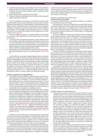 Traumatología
Pág. 33
1) Superficial:palmarlargoomenor(faltaenel14%delapoblación
general, sobre todo en el lado izquierdo), palmar mayor (o flexor
radial del carpo), pronador redondo y flexor cubital del carpo
(o cubital anterior).
2) Medio: flexor común superficial de los dedos
3) Profunda: flexor común profundo de los dedos, flexor largo del
pulgar y pronador cuadrado.
El nervio mediano no da ramas a nivel del brazo, siendo todas
distales al codo. Inerva a todos los flexores de carpo y dedos (excepto
la porción destinada al 4º
y 5º
dedos del flexor común profundo de los
dedos y el flexor cubital del carpo o cubital anterior), los pronadores
(redondo y cuadrado), músculos de la eminencia ténar (excepto el
aproximador corto del pulgar) y los lumbricales para el 2º
y 3er
dedos
de la mano. Las excepciones citadas están inervadas por el nervio
cubital (MIR 95-96F, 99).
El nervio mediano se puede ver comprometido a varios niveles
de su trayecto, pero básicamente ocurre en dos puntos: en el codo
y la muñeca.
• A nivel del codo (compresión proximal) se puede afectar a nivel
de la apófisis y ligamento de Struthers (anomalía anatómica en
la cara medial del tercio distal del húmero por la que pasa el
paquete vasculonervioso medial del brazo), lacerto fibroso del
músculo bíceps, inserciones del pronador redondo y bajo el arco
fibroso del flexor común profundo de los dedos.
• Enlamuñeca(compresióndistal)lomásfrecuenteeslacompre-
sión bajo el ligamento anular en el túnel carpiano (MIR 95-96F,
98).
La lesión del nervio mediano origina hipoestesia en su territorio
sensitivo (más marcado en la mano) apreciándose dificultad para la
oposición del pulgar y atrofia de la eminencia ténar en las lesiones
distales. Cuando la lesión es a nivel proximal se objetiva dificultad
para la flexión de los dedos, pronación, flexión del carpo, atrofia
del borde radial del antebrazo y posición de la mano en “actitud
benedictina”, en la que se mantiene el 2º y 3er
dedos en extensión.
También recibe el nombre de“mano de predicador dinámica”, dado
que permite flexionar el 4º y 5º dedos (a diferencia de la mano de
predicador “estática” o “garra cubital” por lesión del cubital).
Cuadros compresivos correspondientes:
• Compresión proximal. Síndrome del pronador (o del escritor).
Proximalmente el mediando puede ser comprimido en 1) apó-
fisis y ligamento de Struthers, 2) lacerato fibroso bicipital, 3)
inserciones humeral y cubital del pronador redondo o 4) arco
fibroso del flexor común superficial de los dedos. El tratamiento
inicial es conservador. Los casos refractarios o con déficit motor
se tratan de forma quirúrgica mediante sección de la estructura
responsable de la compresión y neurólisis externa.
• Compresión distal. Síndrome del túnel del carpo. En la muñeca,
el nervio mediano acompaña a los ocho tendones flexores de los
dedos y al flexor propio del pulgar en un túnel rígido cuyas pare-
des están formadas por el tubérculo del escafoides y el trapecio
radialmente, el pisiforme y el ganchoso cubitalmente, el carpo
dorsalmente y el ligamento transverso anterior del carpo volar-
mente. En este espacio restringido y superpoblado, un aumento
aun mínimo del contenido por la presencia de inflamación
sinovial, -sobrecarga mecánica ocupacional tendinosa, artritis
reumatoide (MIR 02-03, 256)-, implantación distal anómala de
vientres musculares, lipomas, gangliones, amiloidosis, hipoti-
roidismo, gota, embarazo o desviaciones óseas postraumáticas
comprometen la vascularización del mediano (MIR 97-98F, 133;
MIR 96-97F, 64).
El síndrome del túnel del carpo es la neuropatía por compresión
más frecuente de todo el organismo. Su cuadro clínico clásico se da
en mujeres de edad media avanzada y está dominado por la apa-
rición de parestesias en primer, segundo, tercer y mitad radial del
cuarto dedo, inicialmente de predominio nocturno y casi siempre
en la mano dominante (si bien en muchos casos es bilateral).
LamaniobradePhalenserealizamanteniendounaflexiónmáxi-
ma de la muñeca durante un minuto; es positiva si se reproducen las
parestesias en el territorio del mediano. Las parestesias se reprodu-
cen también mediante percusión sobre la zona comprimida (signo
de Tinnel). Como métodos diagnósticos se emplean la radiología
simple y la electromiografía (MIR 03-04, 253). La aparición de atrofia
en la eminencia ténar condiciona mal pronóstico. El tratamiento
conservador está justificado sólo cuando la causa es transitoria; en
casocontrariodebeprocedersealasecciónquirúrgicadelligamento
volar transverso del carpo.
CUADROS DE COMPRESIÓN DEL NERVIO CUBITAL.
Anatomía del nervio cubital.
Es la rama terminal del tronco secundario medial y se encarga de
los movimientos finos de la mano.
Desciende por el brazo a lo largo del vasto medial del tríceps y
a nivel del codo pasa al antebrazo por detrás del epicóndilo medial,
por el surco epitroclear. A su salida el nervio transcurre entre los
dos vientres del músculo flexor cubital del carpo y se dirige hacia
la mano atravesando el carpo por el canal de Guyon, acompañado
de la arteria cubital.
El nervio cubital da inervación al músculo flexor cubital del
carpo (cubital anterior) y mitad cubital del flexor común profundo
de los dedos (fascículos para 4º y 5º dedos) a nivel del antebrazo.
En la mano inerva a los músculos de la eminencia hipotenar, el
aproximador corto del primer dedo, todos los interóseos y los lum-
bricales para el 4º y 5º dedos. El músculo palmar cutáneo (arruga la
piel cuando se hace la concavidad de la palma de la mano) se sitúa
sobre las fibras del canal de Guyon en el carpo y es también inervado
por el nervio cubital. Según algunos autores, el fascículo medial del
flexor corto del pulgar es territorio del cubital.
La lesión del nervio cubital puede ser proximal o distal, al igual
que ocurría con el nervio mediano. En el codo puede verse compro-
metido en fracturas y luxaciones del codo, así como por traumatis-
mos directos en el surco epitroclear donde es muy superficial. Un
16% de la población normal tiene un nervio cubital subluxable o
luxable por ausencia del retináculo que conforma el canal, sin que
ello tenga ninguna repercusión clínica. También se puede afectar
en la arcada de Struthers y en el cúbito valgo postraumático. A nivel
distal la compresión más frecuente es a nivel del canal de Guyon.
La afectación del cubital ocasiona parestesias y dolor en mitad
cubitaldedorsoypalmadelamano,asícomoenel5ºymitadcubital
del4ºdedos.Desdeelpuntodevistamotorseapreciadificultadpara
separaryjuntarlosdedos(paresiadelosinteróseos),dificultadparala
aproximación del pulgar que se intenta suplir con la contracción del
flexorlargodelpulgar(signodeFroment),separaciónpermanentedel
5ºdedo(signodeWartemberg)ehiperextensióndelasarticulaciones
metacarpofalángicas con flexión de las interfalángicas de 4º y 5º
dedos y abducción del pulgar y depresión de los espacios interóseos
(“garra cubital”). Se ha descrito el fenómeno de la“paradoja cubital”
en la que, cuanto más proximal es la lesión, menos afectada está la
manoyenlesionesmásdistales,seafectaenmayormedidalamano,
cursandoconmayordeformidad.Laafectacióndelnerviomedianoy
el cubital conjuntas origina la “mano de simio” (MIR 00-01F, 89).
CUADROS COMPRESIVOS CORRESPONDIENTES:
• Compresión proximal. Síndrome del túnel cubital. El nervio
cubital atraviesa el codo en un túnel delimitado anteromedial-
mente por el surco epitroclear, lateralmente por la cara medial
delolécranonyposteriormenteporunabandafibrosatransversa
dispuesta desde la epitróclea al olécranon. Más distalmente el
nervio transcurre entre los dos vientres del flexor cubital del
carpo. Pueden darse cuadros compresivos en ambos niveles.
De una forma análoga a la maniobra de Phalen, la flexión
extrema del codo mantenida unos tres minutos reproduce la
sintomatología. Si el cuadro no responde al tratamiento con-
servador, debe realizarse la descompresión del nervio. Aunque
algunos autores recomiendan la realización únicamente de
una descompresión in situ, el tratamiento más aceptado es la
transposición anterior del cubital, que puede recolocarse bajo
la piel (transposición subcutánea, (figura 44)) o junto al nervio
mediano profundamente al grupo flexor-pronador (transposi-
ción submuscular o procedimiento de Leirmonth). La asociación
de una epicondilectomía medial se recomienda actualmente
sólo de forma excepcional.
• Compresión distal. Síndrome del canal de Guyón. El canal de
Guyón es un espacio en el borde cubital de la muñeca. Su techo
está constituido por fibras procedentes del ligamento volar
transverso del carpo que deben seccionarse si llegan a compri-
mir al nervio cubital a su paso junto al pisiforme.
 