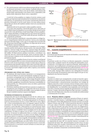 miniMANUAL 1 CTO
Pág. 36
c) Pie: prácticamente toda la musculatura propia del pie (excepto
la extensora) pertenece a este sistema: cuadrado plantar, lum-
bricales, interóseos, flexor corto de los dedos, musculatura del
primer dedo (aproximador corto, flexor corto y separador) y del
quinto dedo (oponente, flexor corto y separador).
A nivel de la fosa poplítea se origina el nervio cutáneo sural
medial, que baja hasta aproximadamente la mitad de la cara interna
de la pierna y se anastomosa con un ramo comunicante del nervio
peroneo, formando el nervio sural. Junto a la vena safena menor
desciende por detrás del maléolo medial e inerva la cara lateral de
tobillo y pie.
Anatomía del nervio peroneal o ciático poplíteo externo.
Es la rama más pequeña y lateral del plexo sacro. Sale junto al
nervio tibial, al que acompaña en su recorrido (donde da inervación
a la porción corta del bíceps crural) hasta llegar al hueco poplíteo.
Allí se separa del tibial y se dirige hacia la cara externa de la pierna
para, aproximadamente a nivel del cuello del peroné, dividirse en
dos: superficial y profundo.
El nervio peroneo superficial o musculocutáneo se dirige ha-
cia el compartimento lateral de la pierna e inerva a los músculos
peroneos laterales largo y corto, que se encargan de la eversión del
pie. El peroneo lateral largo contribuye a la sujección de los arcos
longitudinal y transversal del pie.
La rama profunda o tibial anterior se introduce en el compar-
timento anterior de la pierna y da inervación a los músculos tibial
anterior, extensor largo de los dedos, extensor largo del primer
dedo y tercer peroneo. Se encargan de la flexión dorsal o extensión
del tobillo. El tibial anterior produce inversión y contribuye a la
sujección del arco transversal del pie, junto al peroneo largo. El
tercer peroneo colabora en los movimientos de eversión del com-
partimento lateral.
A nivel del hueco poplíteo forma el nervio cutáneo sural lateral
que inerva la pantorrilla y un ramo comunicante peroneo que forma
el nervio sural. El nervio peroneo común es el que más se afecta en
traumatismos del miembro inferior, sobre todo a nivel del cuello del
peroné, produciéndose una pérdida de la musculatura dorsiflexora
y eversora. Esta lesión origina un pie caido o equino y una marcha
“en estepage”.
SÍNDROMES DEL TÚNEL DEL TARSO.
• El síndrome del túnel tarsiano (posterior) es el atrapamiento
del nervio tibial en el canal retromaleolar medial (en el que se
encuentra acompañado por los tendones del tibial posterior,
flexor largo común de los dedos y flexor largo del primer dedo).
La mitad de los casos son idiopáticos y el resto se debe a quistes
sinoviales, gangliones, tenosinovitis, fracturas consolidadas en
mala posición, etc. Clínicamente cursa con dolor y parestesias
en la planta del pie.
• El término síndrome del túnel del tarso anterior se emplea oca-
sionalmente para designar la compresión del nervio peroneo
profundo en la cara anterior del tobillo; cursa con dolor en dorso
del pie irradiado al primer espacio interdigital.
NEUROMA INTERDIGITAL DE MORTON.
Compresión del nervio interdigital al nivel de las cabezas me-
tatarsianas bajo el ligamento intermetatarsiano, con posterior
desarrollo de un neuroma. Se localiza típicamente en el espacio
entre los metatarsianos tercero y cuarto (80% de los casos, figura
29), si bien ocasionalmente afecta al segundo espacio interme-
tatarsiano. Es más frecuente en mujeres y suele presentarse en
la quinta y sexta décadas. Clínicamente se caracteriza por dolor
quemante durante la marcha y la bipedestación, localizado sobre
el espacio afecto e irradiado hacia el pulpejo de los dos dedos
colindantes. El dolor se agrava con el calor y el uso de calzado
estrecho. Si durante la exploración física se realiza compresión
lateral de los metatarsianos o se pinza con los dedos el pliegue
del espacio afecto, se reproduce la sintomatología. El diagnóstico
puede confirmarse con una ecografía. El tratamiento inicialmente
es conservador y consiste en el empleo de calzado ancho con
suela rígida y plantilla blanda, así como AINEs. Si no es suficiente,
pueden realizarse infiltraciones con anestésico local y corticoide.
Frecuentemente es necesario recurrir al final a la resección qui-
rúrgica del neuroma.
Figura 32. Representación esquemática de la localización del neuroma de
Morton.
TEMA 6. LUXACIONES.
6.1. Luxación escapulohumeral.
6.1.1 Anterior.
Es la forma más frecuente de luxación de hombro y una de las más
frecuentes del organismo.
CLÍNICA.
El paciente acude con el brazo en discreta separación y rotación
externa fijas: cualquier intento de movilización del hombro resul-
ta doloroso. A la inspección se aprecia la llamada “deformidad en
charretera”, por el afilamiento acromial que presenta el hombro al
desaparecer el perfil redondeado de la cabeza humeral (MIR 98-99F,
104). La lesión neurológica característicamente asociada es la del
nervio axilar. Siempre debe realizarse una radiografía de hombro
antes de proceder al tratamiento para estar seguros de que no ma-
nipulamos una fractura-luxación.
TRATAMIENTO.
Consiste en reducir por manipulación cerrada la luxación (gene-
ralmente se realiza un primer intento sin anestesia o con anestesia
local intrarticular), y posteriormente inmovilizar con vendaje de
Velpeau entre dos y cuatro semanas (menos tiempo cuanto mayor
sea la edad del paciente), para pasado ese tiempo realizar ejercicios
de rehabilitación. Las maniobras más empleadas son la de Kocher
(tracción y rotación externa seguidas de aproximación con rotación
interna), Cooper (elevación progresiva bajo tracción) y modifica-
ciones de la de Hipócrates (tracción en el sentido de la deformidad
y contratracción en la axila).
6.1.2 Posterior, inferior y superior.
En la luxación posterior, el paciente presenta el brazo en aproxi-
mación y rotación interna, y radiológicamente la imagen es muy
poco llamativa.Tiene dificultad para la rotación externa y no puede
separar el brazo más de 90º. Como la posición descrita es aquella
en la que coloca el hombro cualquier persona a la que le duela,
es un tipo de luxación que pasa muchas veces sin diagnosticar.
Debe sospecharse la presencia de una luxación posterior cuando
existan antecedentes de descarga eléctrica o crisis convulsivas (la
contracción enérgica y simultánea de todos los grupos musculares
del hombro en la descarga eléctrica o la convulsión pueden causar
su luxación posterior) o fractura aparentemente aislada de troquín
(MIR 99-00, 120). Requiere reducción cerrada e inmovilización en
discreta rotación externa.
La luxación inferior es poco frecuente y el brazo se encuentra
en separación de unos 30º, en rotación interna y acortado, o en
separación de hasta 160º, denominándose luxatio erecta. Se trata
mediante reducción cerrada e inmovilización con vendaje de Vel-
peau. La luxación superior es muy rara y se asocia a fracturas de
clavícula, acromion o luxaciones acromioclaviculares.
 