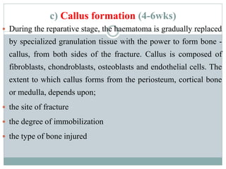 Initial Callus Formation TRAUMATOLOGY powerpoint presentation for Orthopedics and Trauma ...