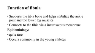 Function of fibula
• Supports the tibia bone and helps stabilize the ankle
joint and the lower leg muscles
• Connects to the tibia via a interosseous membrane
Epidemiology:
• quite rare
• Occurs commonly in the young athletes
 