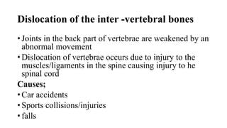 Dislocation of the inter -vertebral bones
• Joints in the back part of vertebrae are weakened by an
abnormal movement
• Dislocation of vertebrae occurs due to injury to the
muscles/ligaments in the spine causing injury to he
spinal cord
Causes;
• Car accidents
• Sports collisions/injuries
• falls
 