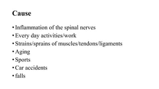 Cause
• Inflammation of the spinal nerves
• Every day activities/work
• Strains/sprains of muscles/tendons/ligaments
• Aging
• Sports
• Car accidents
• falls
 