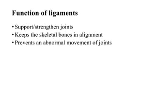 Function of ligaments
• Support/strengthen joints
• Keeps the skeletal bones in alignment
• Prevents an abnormal movement of joints
 