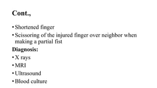 Cont.,
• Shortened finger
• Scissoring of the injured finger over neighbor when
making a partial fist
Diagnosis:
• X rays
• MRI
• Ultrasound
• Blood culture
 