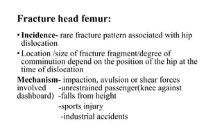 Fracture head femur:
• Incidence- rare fracture pattern associated with hip
dislocation
• Location /size of fracture fragment/degree of
comminution depend on the position of the hip at the
time of dislocation
Mechanism- impaction, avulsion or shear forces
involved -unrestrained passenger(knee against
dashboard) -falls from height
-sports injury
-industrial accidents
 