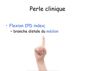 Perle clinique
• Flexion IPD index;
– branche distale du médian
 