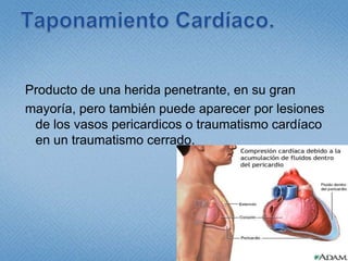 El tratamiento se basa fundamentalmente en una buena ventilación, eventualmente mecánica, con oxigenación húmeda adecuada, y tratamiento      para el dolor agresivo, si el paciente no esta en    shocque la infusión de fluidos debe ser cuidadosa para evitar la sobrehidratación  y el consiguiente          edema pulmonar. 