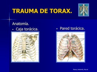 TRAUMA DE TORAX.

Anatomía.
 Caja torácica.      Pared torácica.




                              Moore, Anatomía, 4ta ed.
 