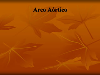 Arco Aórtico
 