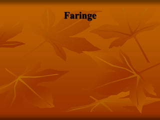 Faringe
 