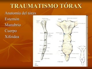 TRAUMATISMO TÓRAX
Anatomía del tórax
Esternón
Manubrio
Cuerpo
Xifoidea
 