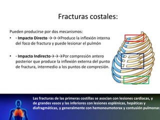 Fracturas costales:
Pueden producirse por dos mecanismos:
• · Impacto Directo →→→Produce la inflexión interna
del foco de fractura y puede lesionar el pulmón
• · Impacto Indirecto→→→Por compresión antero
posterior que produce la inflexión externa del punto
de fractura, intermedio a los puntos de compresión.
Las fracturas de las primeras costillas se asocian con lesiones cardiacas, y
de grandes vasos y las inferiores con lesiones esplénicas, hepáticas y
diafragmáticas, y generalmente con hemoneumotorax y contusión pulmonar.
 