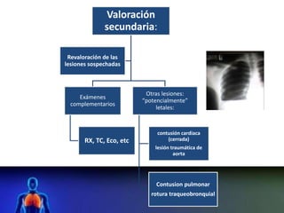 Valoración
secundaria:
Exámenes
complementarios
RX, TC, Eco, etc
Otras lesiones:
“potencialmente”
letales:
contusión cardiaca
(cerrada)
lesión traumática de
aorta
Contusion pulmonar
rotura traqueobronquial
Revaloración de las
lesiones sospechadas
 