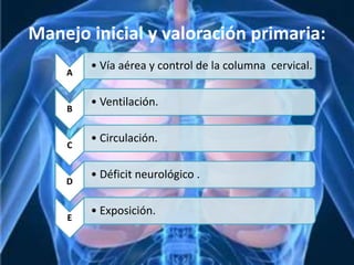 Manejo inicial y valoración primaria:
A
• Vía aérea y control de la columna cervical.
B
• Ventilación.
C
• Circulación.
D
• Déficit neurológico .
E
• Exposición.
 