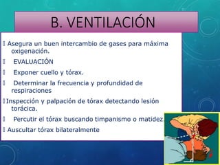 🞇 Asegura un buen intercambio de gases para máxima
oxigenación.
🞇 EVALUACIÓN
🞇 Exponer cuello y tórax.
🞇 Determinar la frecuencia y profundidad de
respiraciones
🞇 Inspección y palpación de tórax detectando lesión
torácica.
🞇 Percutir el tórax buscando timpanismo o matidez.
🞇 Auscultar tórax bilateralmente
B. VENTILACIÓN
 