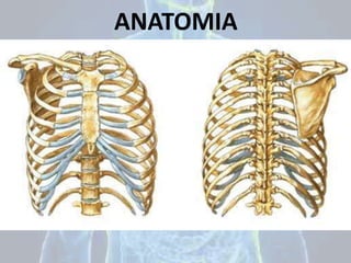 ANATOMIA
T
 