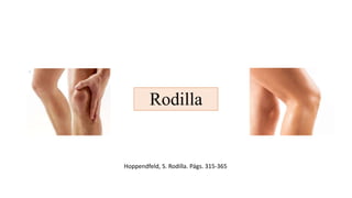 Rodilla
Hoppendfeld, S. Rodilla. Págs. 315-365
 