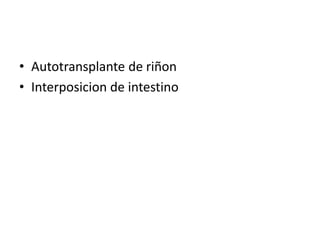 • Autotransplante de riñon
• Interposicion de intestino
 