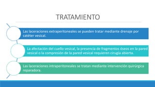 TRATAMIENTO
Las laceraciones extraperitoneales se pueden tratar mediante drenaje por
catéter vesical.
La afectación del cuello vesical, la presencia de fragmentos óseos en la pared
vesical o la compresión de la pared vesical requieren cirugía abierta.
Las laceraciones intraperitoneales se tratan mediante intervención quirúrgica
reparadora.
 