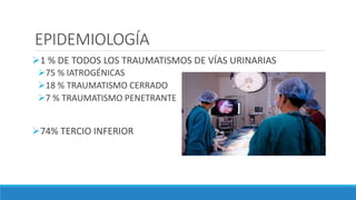 EPIDEMIOLOGÍA
1 % DE TODOS LOS TRAUMATISMOS DE VÍAS URINARIAS
75 % IATROGÉNICAS
18 % TRAUMATISMO CERRADO
7 % TRAUMATISMO PENETRANTE
74% TERCIO INFERIOR
 