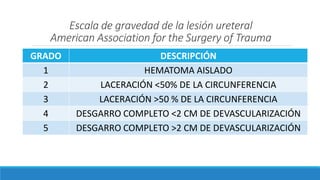 Escala de gravedad de la lesión ureteral
American Association for the Surgery of Trauma
GRADO DESCRIPCIÓN
1 HEMATOMA AISLADO
2 LACERACIÓN <50% DE LA CIRCUNFERENCIA
3 LACERACIÓN >50 % DE LA CIRCUNFERENCIA
4 DESGARRO COMPLETO <2 CM DE DEVASCULARIZACIÓN
5 DESGARRO COMPLETO >2 CM DE DEVASCULARIZACIÓN
 