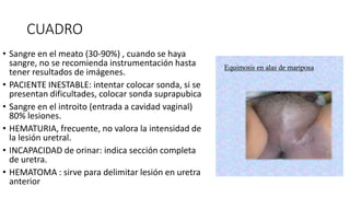 CUADRO
• Sangre en el meato (30-90%) , cuando se haya
sangre, no se recomienda instrumentación hasta
tener resultados de imágenes.
• PACIENTE INESTABLE: intentar colocar sonda, si se
presentan dificultades, colocar sonda suprapubica
• Sangre en el introito (entrada a cavidad vaginal)
80% lesiones.
• HEMATURIA, frecuente, no valora la intensidad de
la lesión uretral.
• INCAPACIDAD de orinar: indica sección completa
de uretra.
• HEMATOMA : sirve para delimitar lesión en uretra
anterior
 