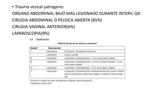 • Trauma vesical yatrogeno:
ORGANO ABDOMINAL BAJO MAS LESIONADO DURANTE INTERV. QX:
CIRUGIA ABDOMINAL O PELVICA ABIERTA (85%)
CIRUGIA VAGINAL ANTERIOR(6%)
LAPAROSCOPIA(9%)
 